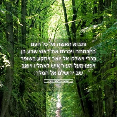Picture 05 - שמואל ב 20:22 HEB - ותבוא האשה אל כל העם בחכמתה - Bible Verse Picture