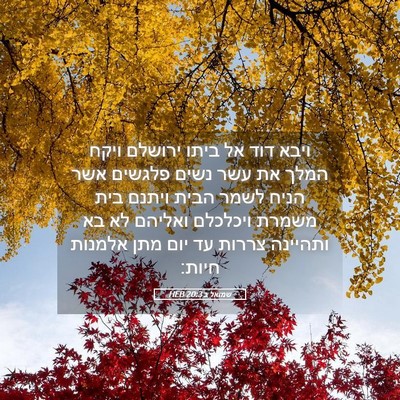 Picture 05 - שמואל ב 20:3 HEB - ויבא דוד אל ביתו ירושלם - Bible Verse Picture