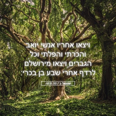 Picture 05 - שמואל ב 20:7 HEB - ויצאו אחריו אנשי יואב - Bible Verse Picture