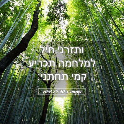 Picture 05 - שמואל ב 22:40 HEB - ותזרני חיל למלחמה תכריע - Bible Verse Picture