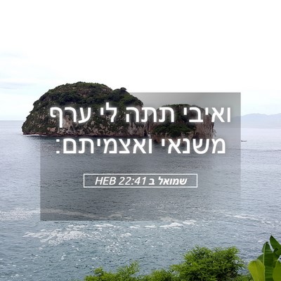 Picture 05 - שמואל ב 22:41 HEB - ואיבי תתה לי ערף משנאי - Bible Verse Picture