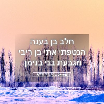 Picture 05 - שמואל ב 23:29 HEB - חלב בן בענה הנטפתי אתי בן - Bible Verse Picture