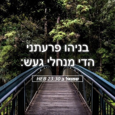 Picture 05 - שמואל ב 23:30 HEB - בניהו פרעתני הדי מנחלי - Bible Verse Picture
