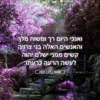 Picture 05 - שמואל ב 3:39 HEB - ואנכי היום רך ומשוח מלך - Bible Verse Picture