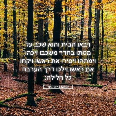 Picture 05 - שמואל ב 4:7 HEB - ויבאו הבית והוא שכב על מטתו - Bible Verse Picture