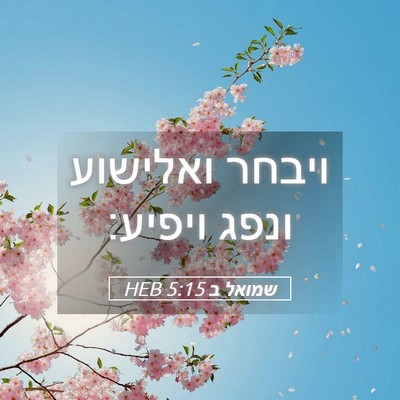 Picture 05 - שמואל ב 5:15 HEB - ויבחר ואלישוע ונפג - Bible Verse Picture