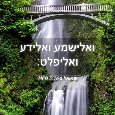 Picture 05 - שמואל ב 5:16 HEB - ואלישמע ואלידע - Bible Verse Picture