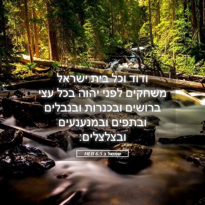 Picture 05 - שמואל ב 6:5 HEB - ודוד וכל בית ישראל משחקים - Bible Verse Picture