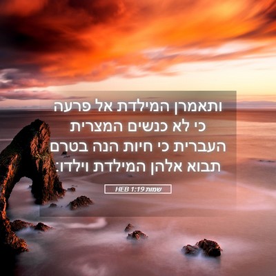 Picture 05 - שמות 1:19 HEB - ותאמרן המילדת אל פרעה כי לא - Bible Verse Picture