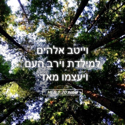 Picture 05 - שמות 1:20 HEB - וייטב אלהים למילדת וירב - Bible Verse Picture