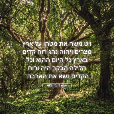 Picture 05 - שמות 10:13 HEB - ויט משה את מטהו על ארץ - Bible Verse Picture