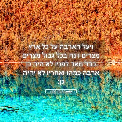 Picture 05 - שמות 10:14 HEB - ויעל הארבה על כל ארץ מצרים - Bible Verse Picture