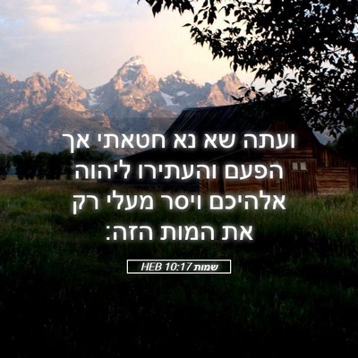 Picture 05 - שמות 10:17 HEB - ועתה שא נא חטאתי אך הפעם - Bible Verse Picture