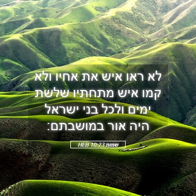 Picture 05 - שמות 10:23 HEB - לא ראו איש את אחיו ולא קמו - Bible Verse Picture