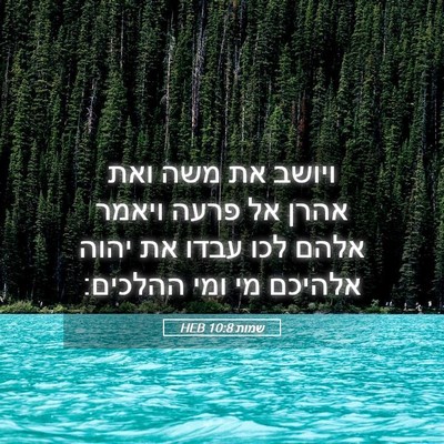 Picture 05 - שמות 10:8 HEB - ויושב את משה ואת אהרן אל - Bible Verse Picture
