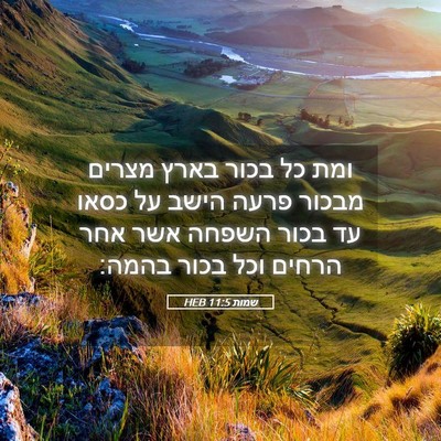 Picture 05 - שמות 11:5 HEB - ומת כל בכור בארץ מצרים - Bible Verse Picture