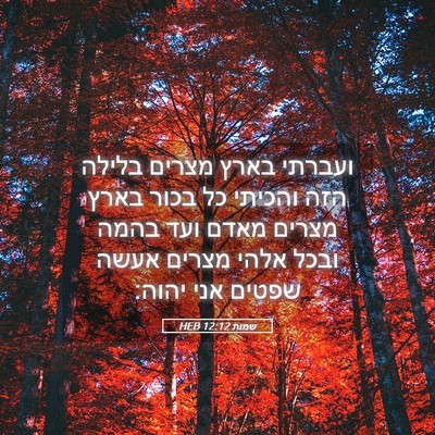 Picture 05 - שמות 12:12 HEB - ועברתי בארץ מצרים בלילה - Bible Verse Picture