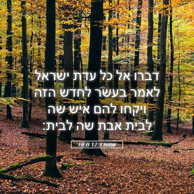 Picture 05 - שמות 12:3 HEB - דברו אל כל עדת ישראל לאמר - Bible Verse Picture