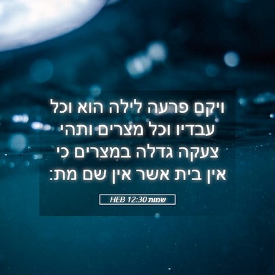 Picture 05 - שמות 12:30 HEB - ויקם פרעה לילה הוא וכל - Bible Verse Picture