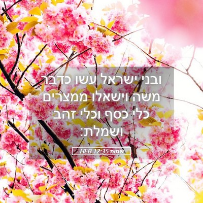 Picture 05 - שמות 12:35 HEB - ובני ישראל עשו כדבר משה - Bible Verse Picture