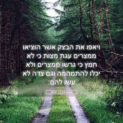 Picture 05 - שמות 12:39 HEB - ויאפו את הבצק אשר הוציאו - Bible Verse Picture