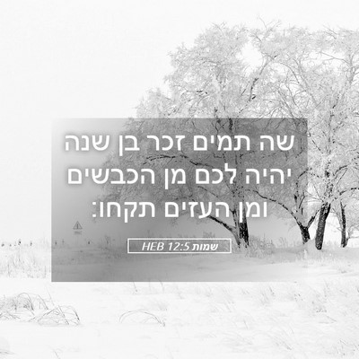 Picture 05 - שמות 12:5 HEB - שה תמים זכר בן שנה יהיה לכם - Bible Verse Picture
