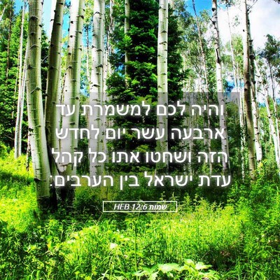 Picture 05 - שמות 12:6 HEB - והיה לכם למשמרת עד ארבעה - Bible Verse Picture