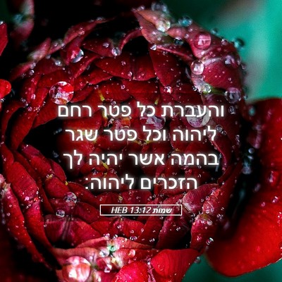 Picture 05 - שמות 13:12 HEB - והעברת כל פטר רחם ליהוה וכל - Bible Verse Picture