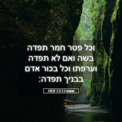 Picture 05 - שמות 13:13 HEB - וכל פטר חמר תפדה בשה ואם לא - Bible Verse Picture