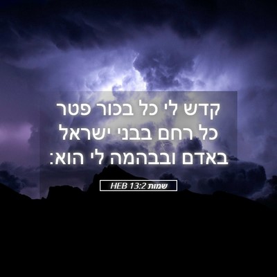 Picture 05 - שמות 13:2 HEB - קדש לי כל בכור פטר כל רחם - Bible Verse Picture