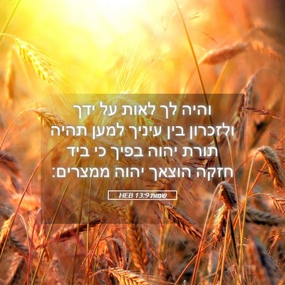 Picture 05 - שמות 13:9 HEB - והיה לך לאות על ידך ולזכרון - Bible Verse Picture