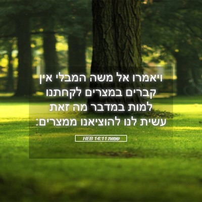 Picture 05 - שמות 14:11 HEB - ויאמרו אל משה המבלי אין - Bible Verse Picture