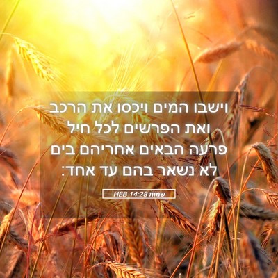 Picture 05 - שמות 14:28 HEB - וישבו המים ויכסו את הרכב - Bible Verse Picture