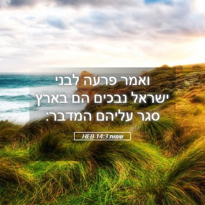 Picture 05 - שמות 14:3 HEB - ואמר פרעה לבני ישראל נבכים - Bible Verse Picture