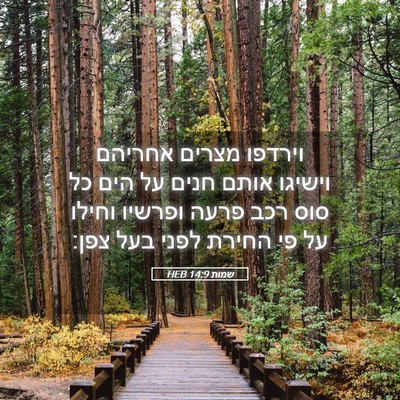 Picture 05 - שמות 14:9 HEB - וירדפו מצרים אחריהם וישיגו - Bible Verse Picture