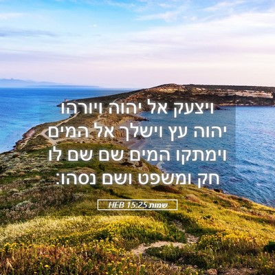 Picture 05 - שמות 15:25 HEB - ויצעק אל יהוה ויורהו יהוה - Bible Verse Picture