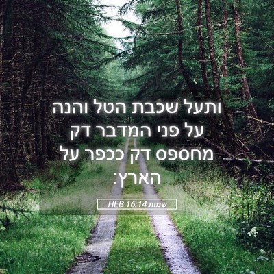 Picture 05 - שמות 16:14 HEB - ותעל שכבת הטל והנה על פני - Bible Verse Picture