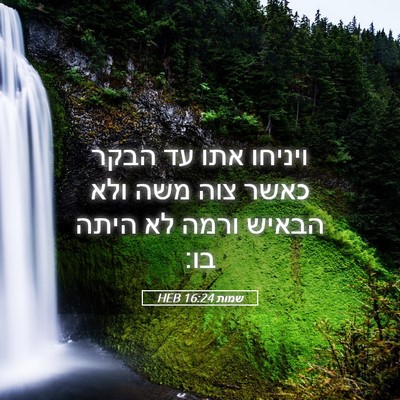 Picture 05 - שמות 16:24 HEB - ויניחו אתו עד הבקר כאשר צוה - Bible Verse Picture