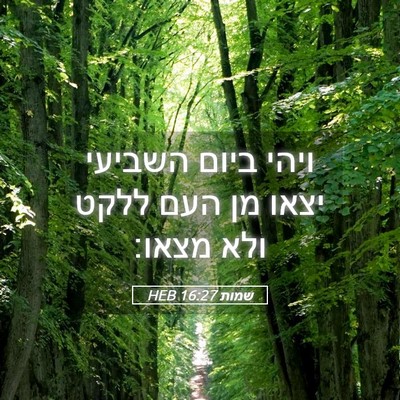 Picture 05 - שמות 16:27 HEB - ויהי ביום השביעי יצאו מן - Bible Verse Picture