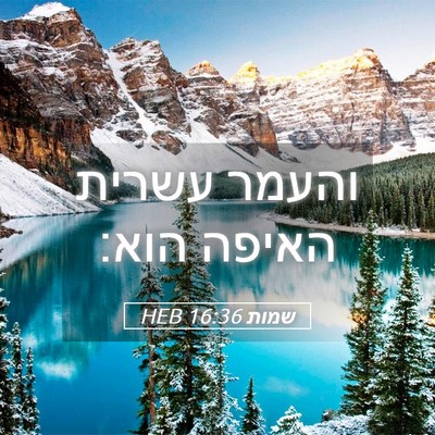 Picture 05 - שמות 16:36 HEB - והעמר עשרית האיפה - Bible Verse Picture