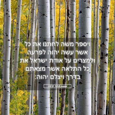 Picture 05 - שמות 18:8 HEB - ויספר משה לחתנו את כל אשר - Bible Verse Picture