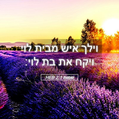 Picture 05 - שמות 2:1 HEB - וילך איש מבית לוי ויקח את - Bible Verse Picture