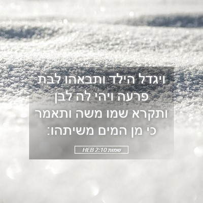 Picture 05 - שמות 2:10 HEB - ויגדל הילד ותבאהו לבת פרעה - Bible Verse Picture