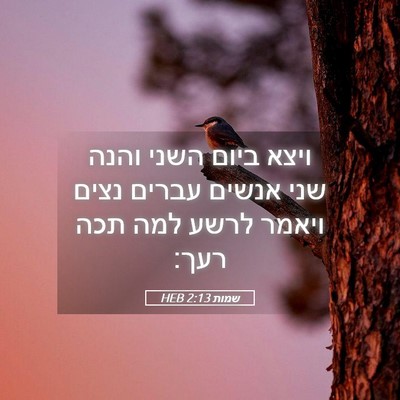 Picture 05 - שמות 2:13 HEB - ויצא ביום השני והנה שני - Bible Verse Picture