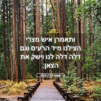 Picture 05 - שמות 2:19 HEB - ותאמרן איש מצרי הצילנו מיד - Bible Verse Picture