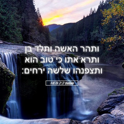 Picture 05 - שמות 2:2 HEB - ותהר האשה ותלד בן ותרא אתו - Bible Verse Picture