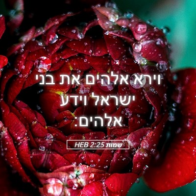 Picture 05 - שמות 2:25 HEB - וירא אלהים את בני ישראל - Bible Verse Picture