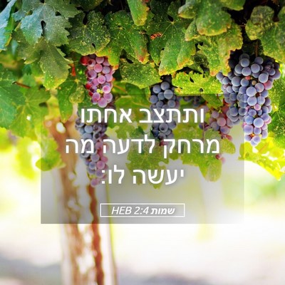 Picture 05 - שמות 2:4 HEB - ותתצב אחתו מרחק לדעה מה - Bible Verse Picture