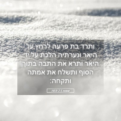 Picture 05 - שמות 2:5 HEB - ותרד בת פרעה לרחץ על היאר - Bible Verse Picture