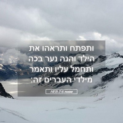 Picture 05 - שמות 2:6 HEB - ותפתח ותראהו את הילד והנה - Bible Verse Picture